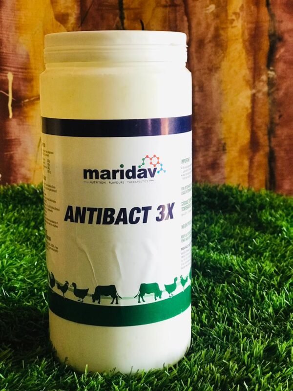 Antibact 3X, 1kg Antibact 3X, 1kg