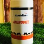Aminovite, 1kg