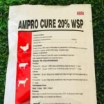 Amprocure 20% Potent Coccidiostat