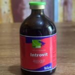 Intovit