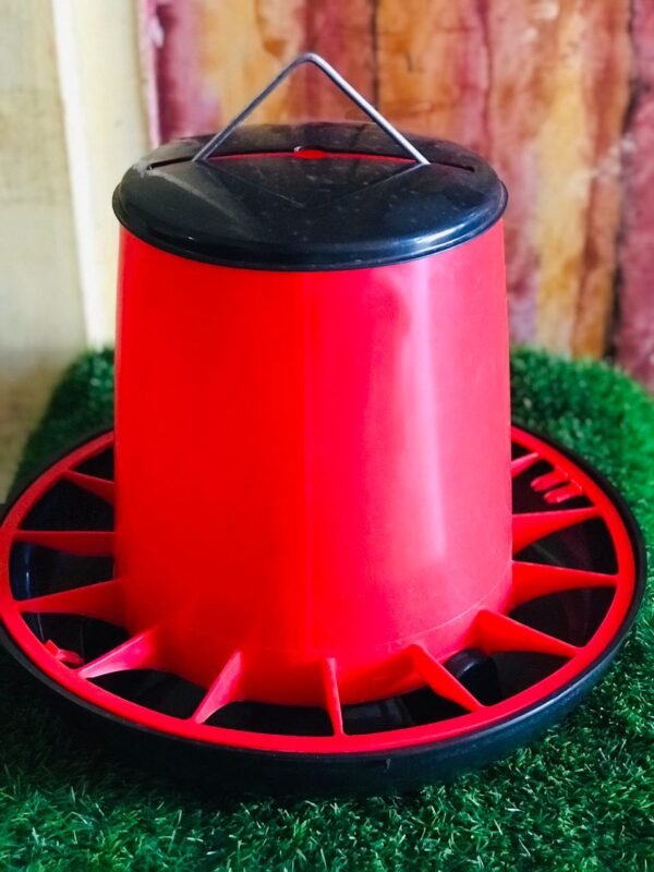 Feeders for birds Feeders for birds