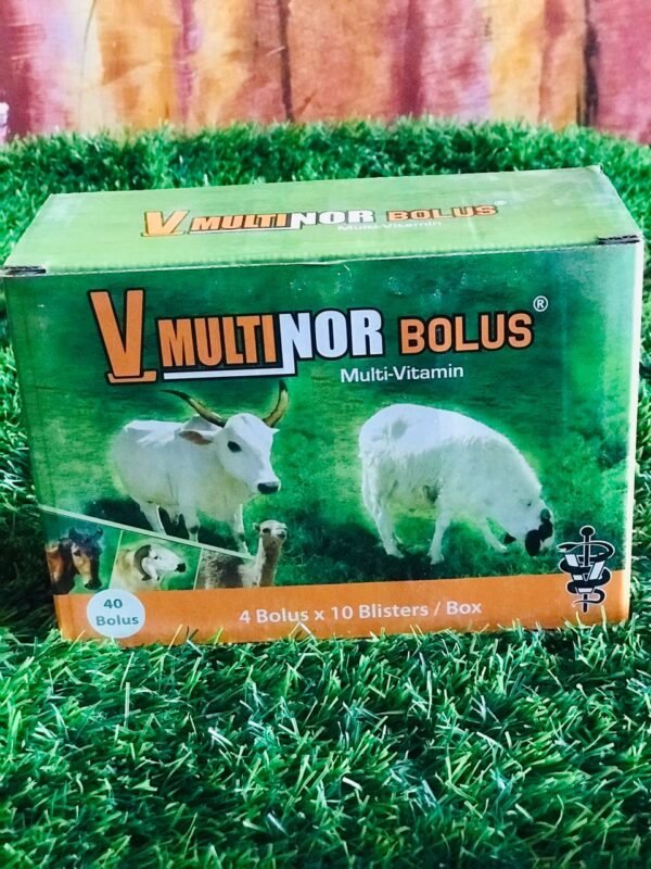 V- Multinor Bolus V- Multinor Bolus