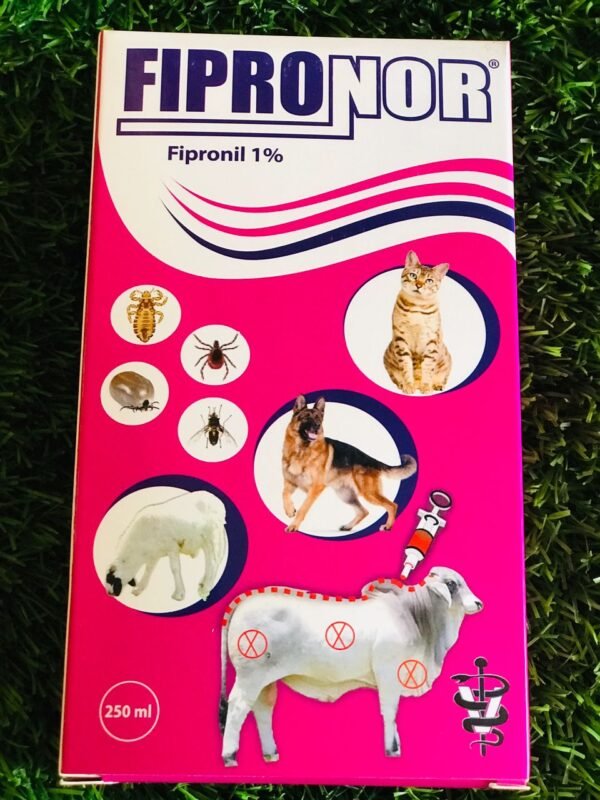 Fipronor 1%