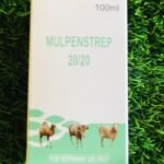 Mulpenstrep 20/20