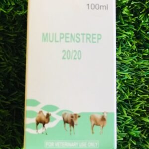 Mulpenstrep 20/20