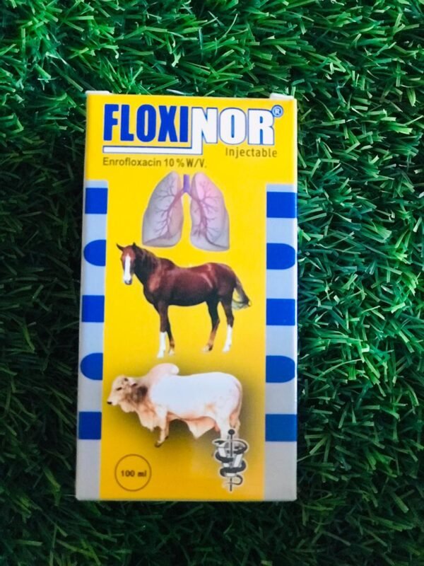Floxinor Floxinor