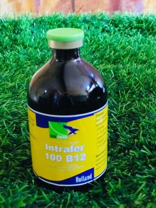 Intafer 100 B12 Intafer 100 B12