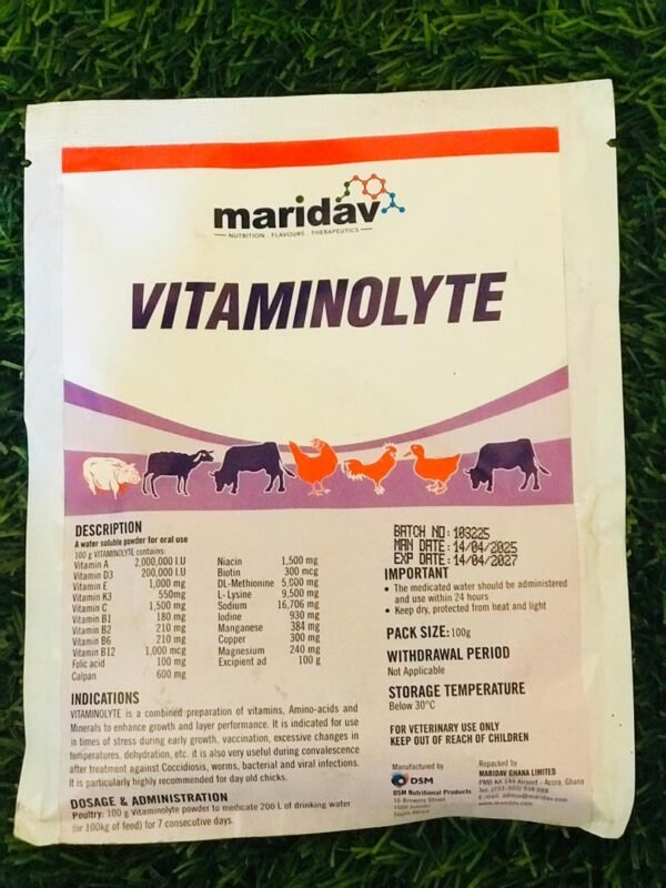 Vitaminolyte 100g