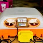 Incubator