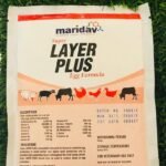 Layer Plus 1000g