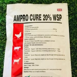 Ampro cure 20% Wsp